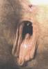 pussyopen2.JPG