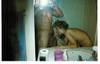 Picture31.jpg