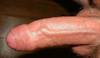 www_plus613_com_cockthrobuk9_1_.jpg