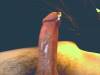 c.jpg