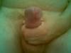 my_cock_006.jpg