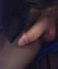 cock3.jpg