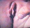 MyPicture035.jpg
