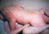 MyPicture063.jpg